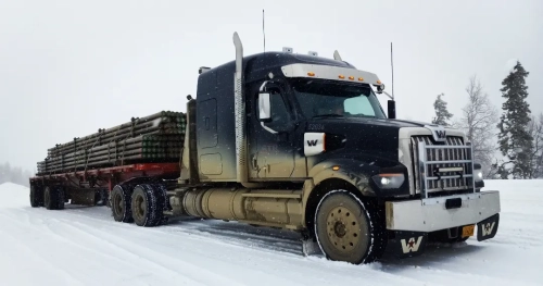 IMG 20230401 074806 663-1